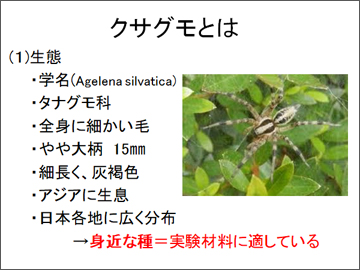 18信州総文祭 山梨県立甲府南高校 みらいぶ 高校生サイト 18信州総文祭 山梨県立甲府南高校 みらいぶ 高校生サイト