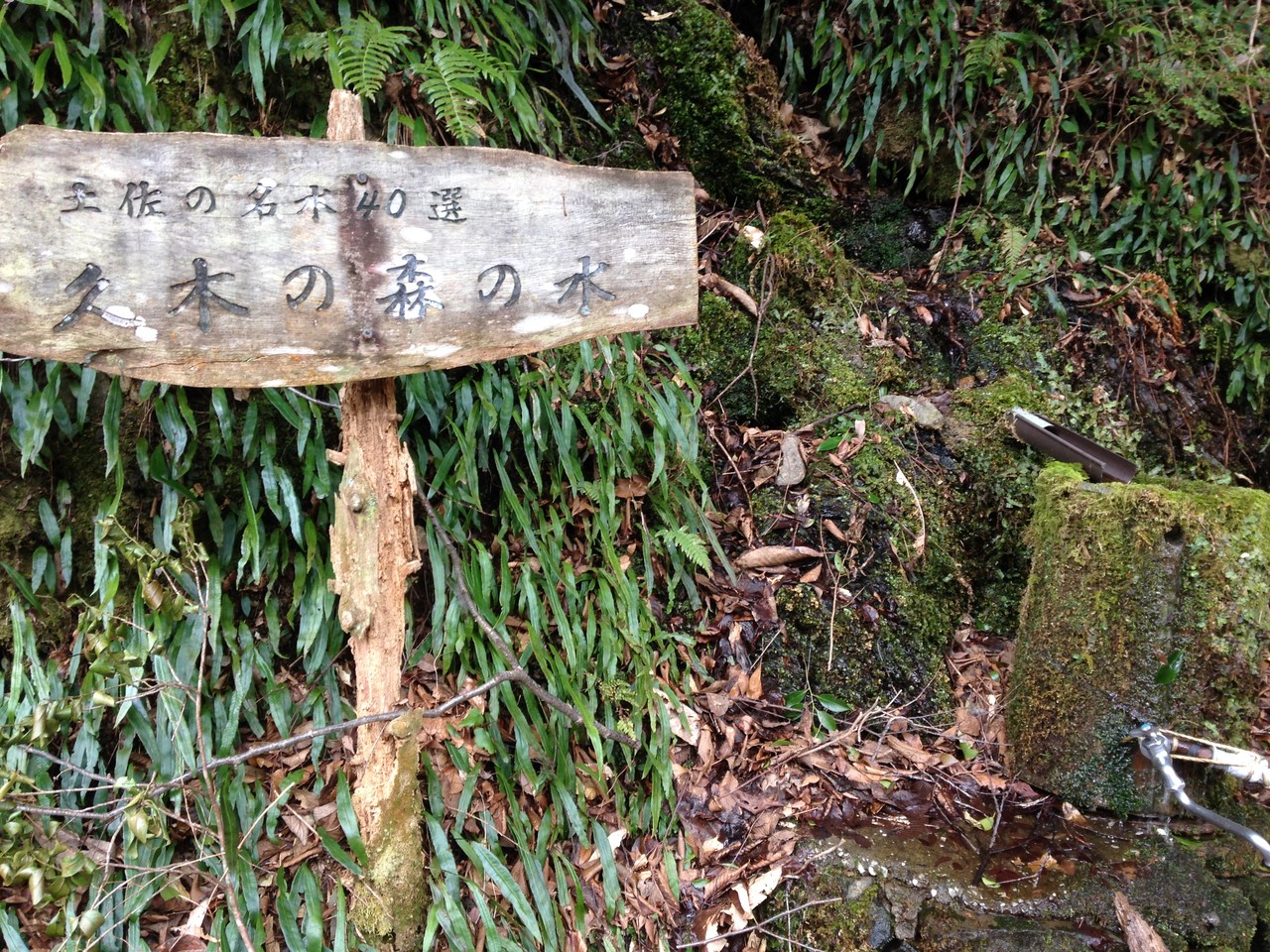 Vol.04 暮らしの水と川 - 四万十町地名辞典 地名は先人の語り部