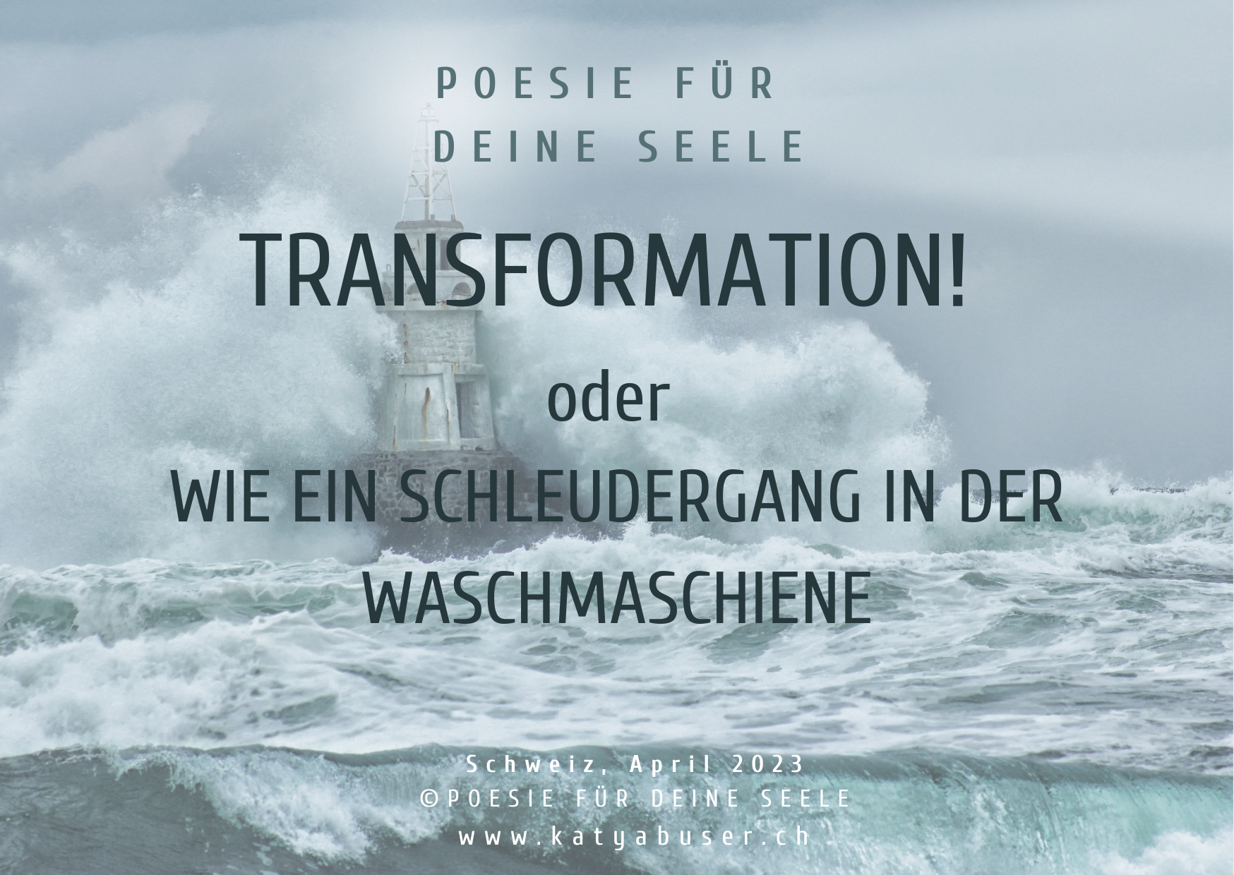 TRANSFORMATION oder WIE EIN SCHLEUDERGANG IN DER WASCHMASCHINE