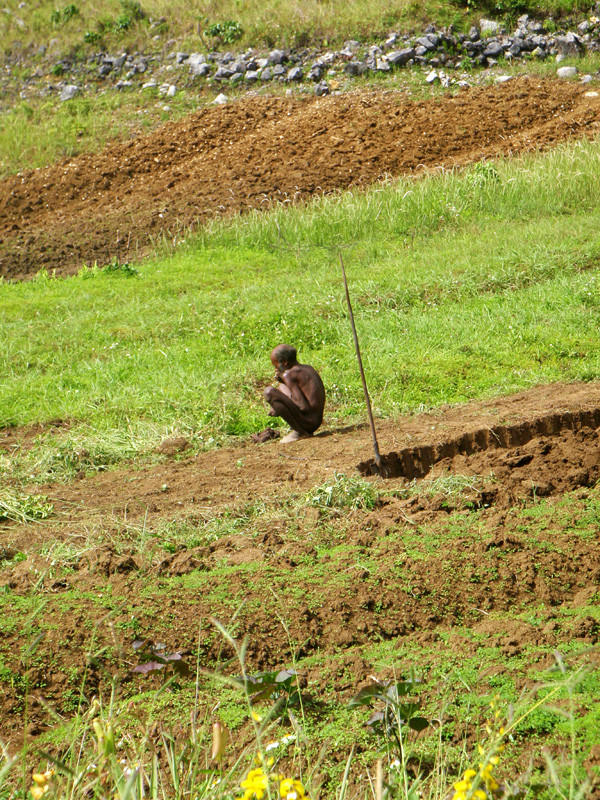 Baliem Valley