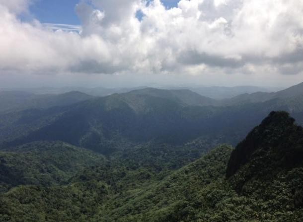 El Yunque National rainforest, Puerto Rico