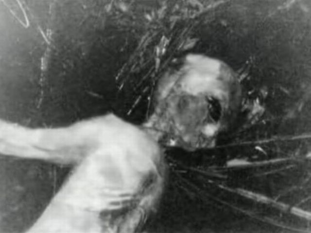 Aunque la mayoría de los alienígenas murió en el incidente, al menos uno habría logrado sobrevivir y ser capturado por los militares. Estos seres fueron conocidos bajo el nombre de EBEs (Entidades Biológicas Extraterrestres). Artículo publicado en Myster