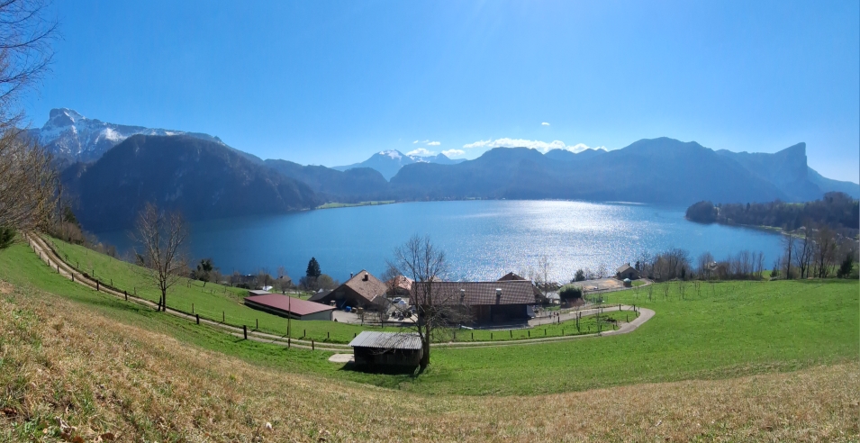 Panorama Ausblick Innerschwand am Mondsee, Bio-Pute aus dem Mondseeland