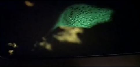 die Computercontrolling-Motion-Control for Microfotografie wurde für diesen Film entwickelt