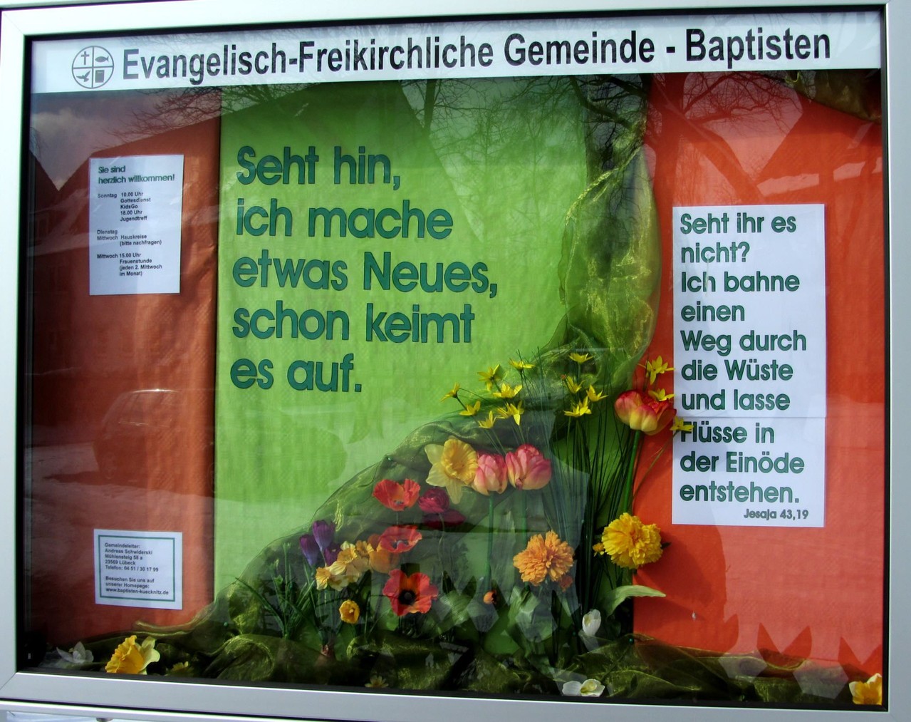 Seht hin, schon keimt es auf. Frühjahr 2013