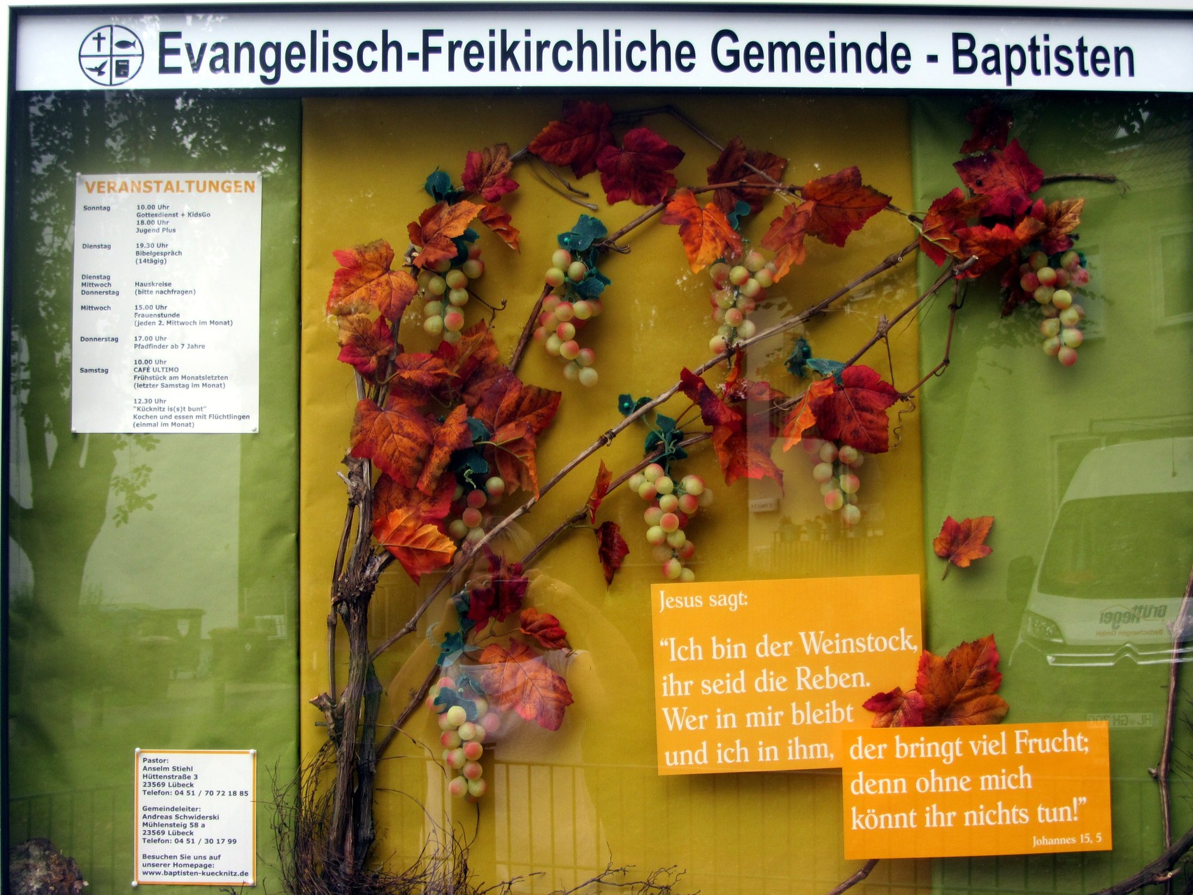 Ich bin der Weinstock   September 2015