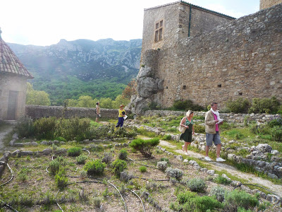 Le jardin des senteurs