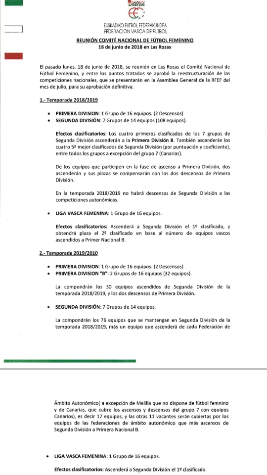 Documento sobre la reestructuración de categorías a ratificar en asamblea en Julio