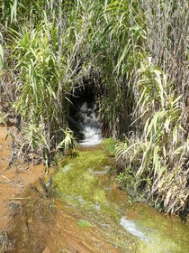Kleiner Wasserfall an der Küste Kalabriens, Provinz Crotone (Foto: privat)