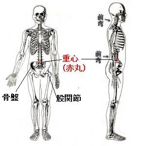 重心を意識して生活する事が姿勢保持筋の上手な使い方につながります。