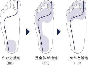 歩く時にも正しい歩き方があります。これが崩れると重心位置が乱れます。
