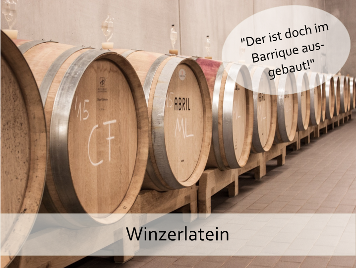 Winzerlatein | Wein-Ausbau im Barrique? Was heißt das und was bringt es dir?