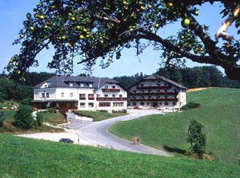 Erleben Sie herzliche Gastfreundschaft im Hotel Wienerwaldhof, Ihrem Rückzugsort vor den Toren Wiens. Inmitten der grünen Lunge Tullnerbachs bietet unser familiengeführtes 4-Sterne-Haus erholsame Wellness mit Indoor-Pool, regionale Landküche und charmante