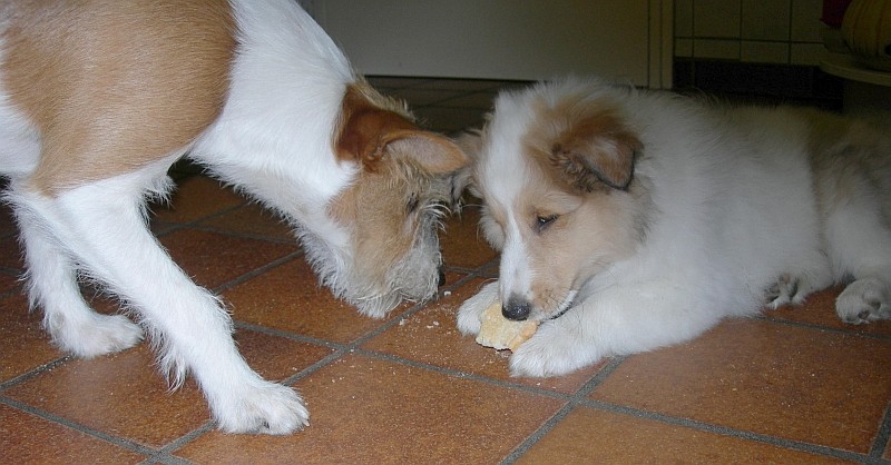 Zwieback ist lecker!