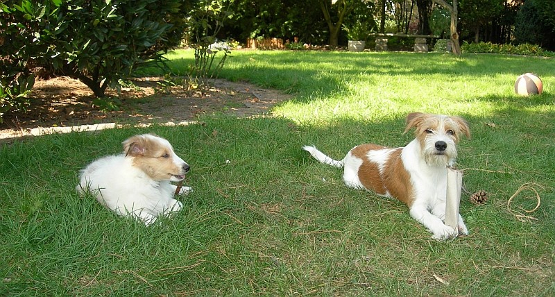 Knabberspielchen im Garten