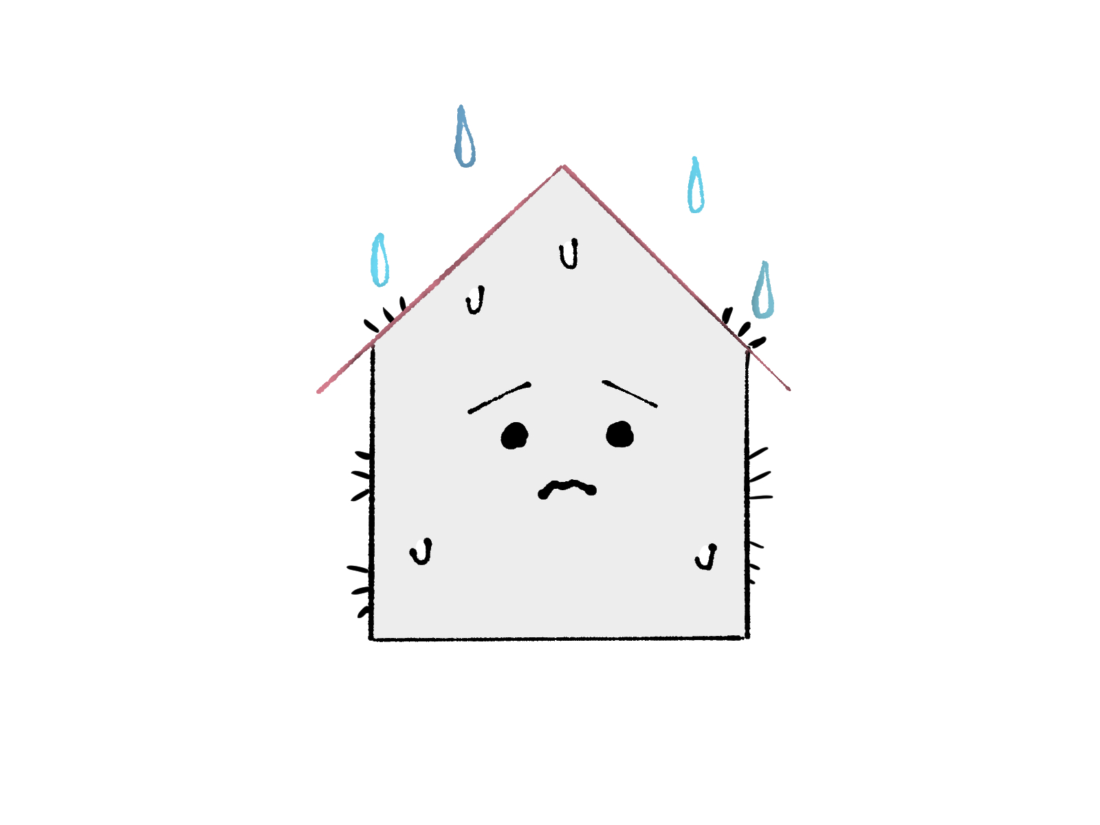 梅雨時期の玄関の湿気対策