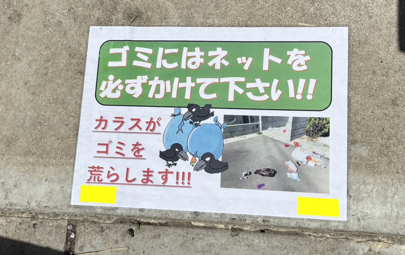 自治会発！カラス撃退大作戦レポート🦅🗑️