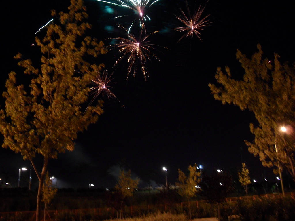 Fuegos artificiales. Imagen: todoVicálvaro.es