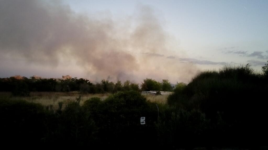 Incendio en el parque de Valdebernardo. 10 de octubre de 2013. Imagen de Maria Antonia Plazuelos