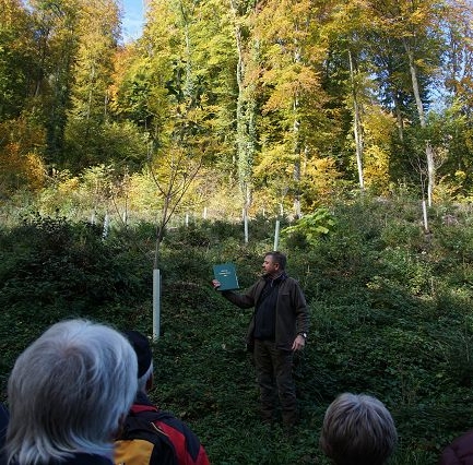 Der Brugger Forstbetriebsleiter erzählt von der Waldbewirtschaftung.