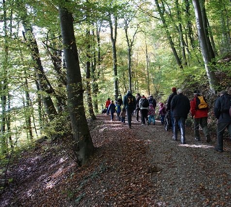 Kinder und Erwachsene nehmen am Waldrundgang teil.