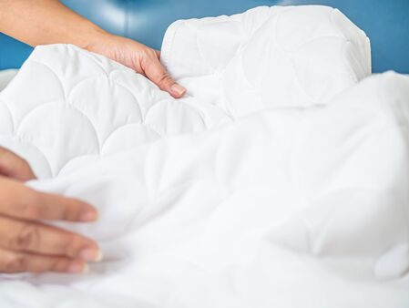 Entreprise experte en punaise de lit : comment choisir la meilleure ?