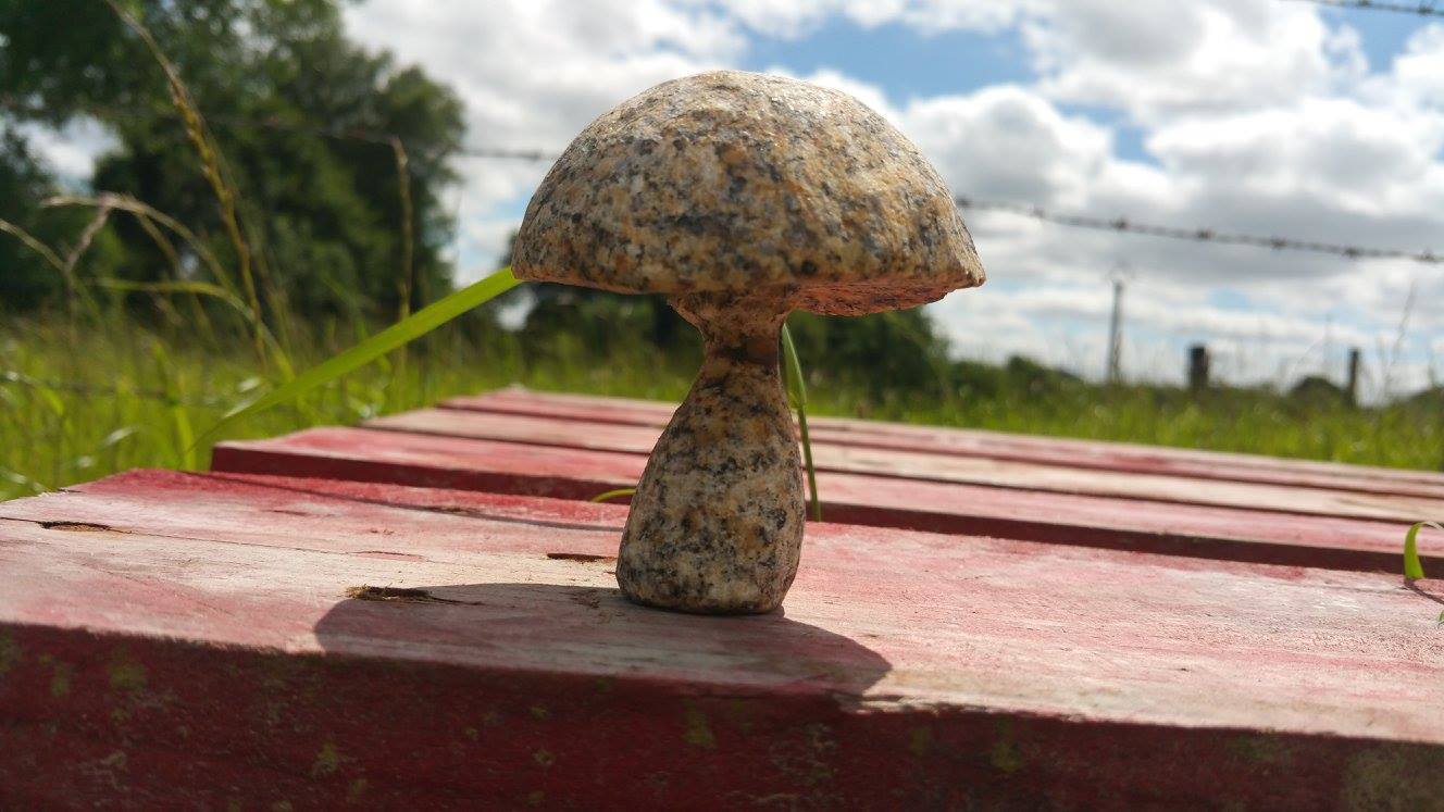 champignon granit