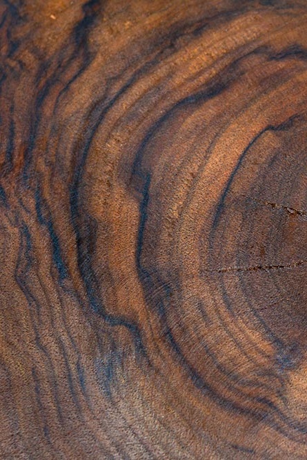 Nussbaum Holz vereint Eleganz, Langlebigkeit und Vielseitigkeit im Möbelbau. Entdecken Sie Beispiele wie Betten, Esstische und Sideboards aus Nussbaum Holz.
