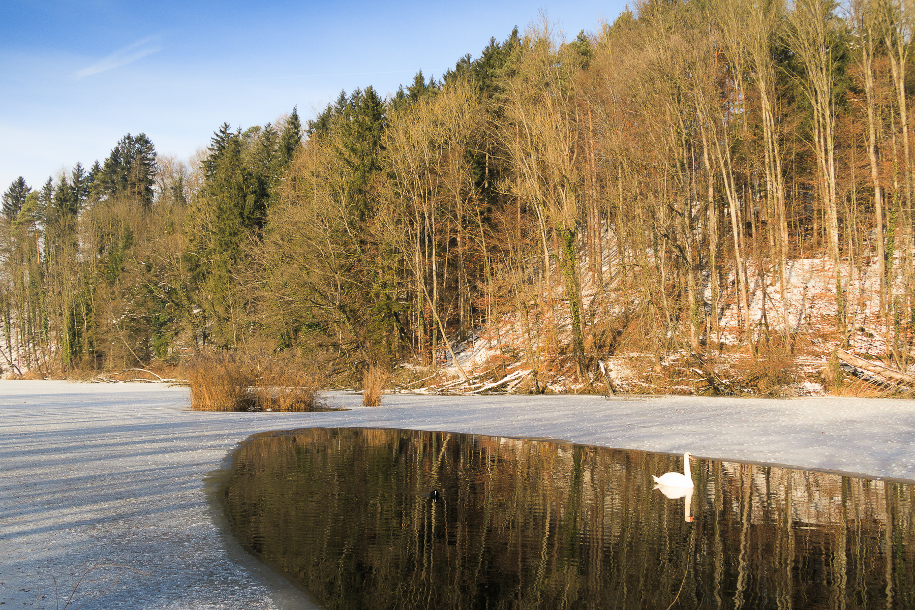 Weberei-Weiher