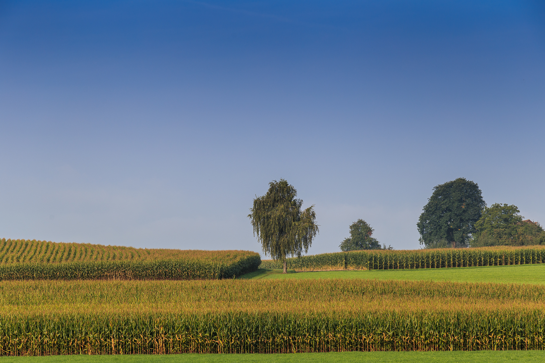 Blick Richtung Sonnenhof