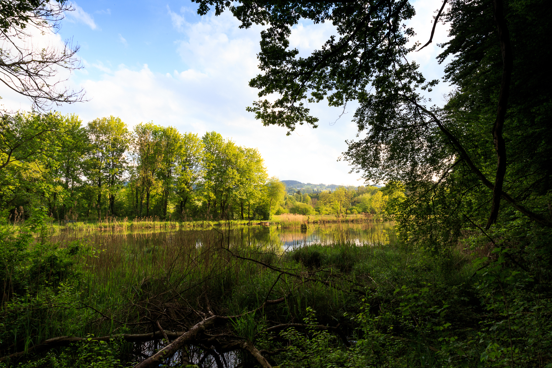 Weberei-Weiher