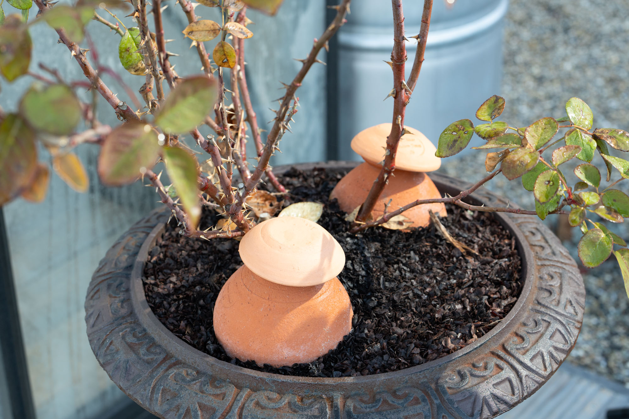 Pot D'ornementation Tulipe | Poterie Jamet