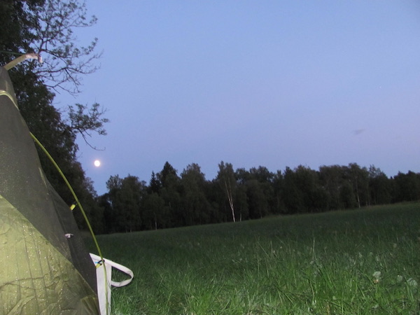Zelt auf Wiese mit Wald und Vollmond im Hintergrund