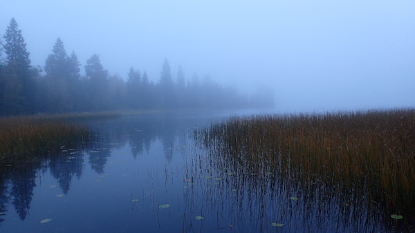 Nebliger Herbst über Moor in Schweden