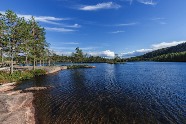Skuleskogen Nationalpark in Schweden