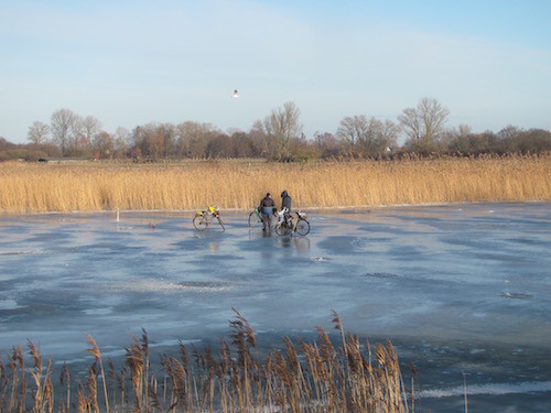 Reiher und Radler auf zugefrorenem Ryck im Januar.