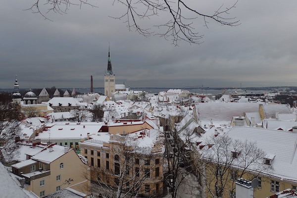 Ausblick auf Tallinn