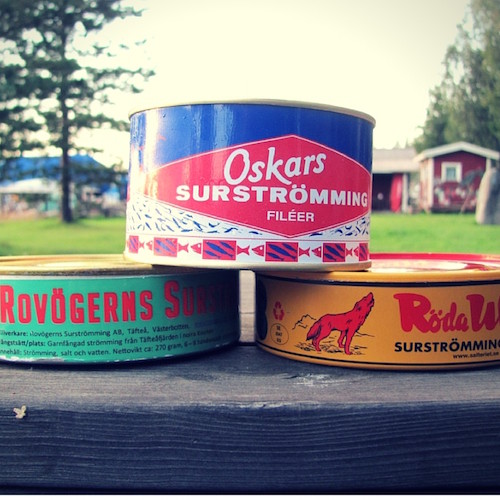 Surströmming - Gammliges im August. - Schweden und so