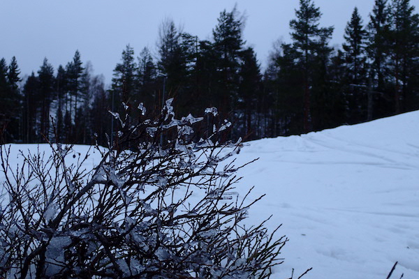 Winterszene in Örebro