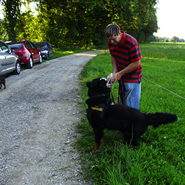 Spiel & Spaß Daisys Therapiezentrum für Hund & Mensch