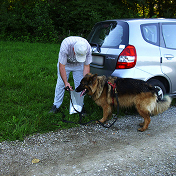 Spiel &amp; Spaß Daisys Therapiezentrum für Hund &amp; Mensch