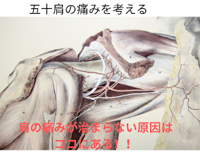 理学療法士・鍼灸師が観る五十肩 ・凍結肩〜夜間痛のある肩の痛みは神経から観る〜　専門家にも読んで欲しい，なかなか治らない肩の痛みの‘なぜ’