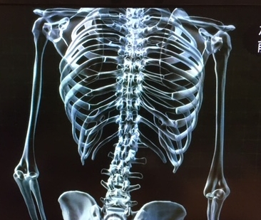 骨盤矯正でこんな効果・？整体・カイロの‘不都合な真実’
