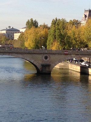 Bridge view in Central Paris