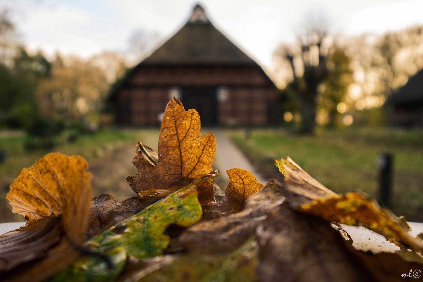 Das Marschenhaus im Herbst