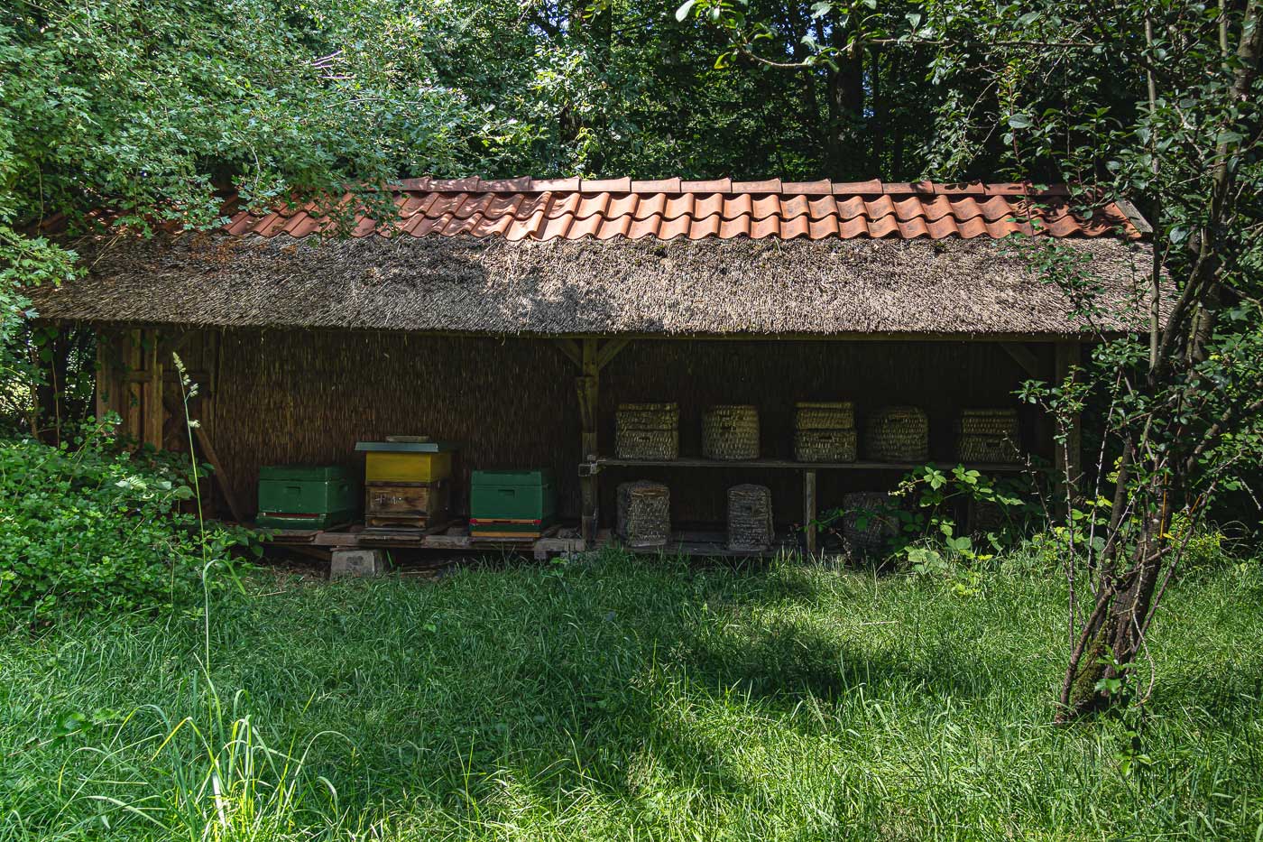 Geesthofanlage