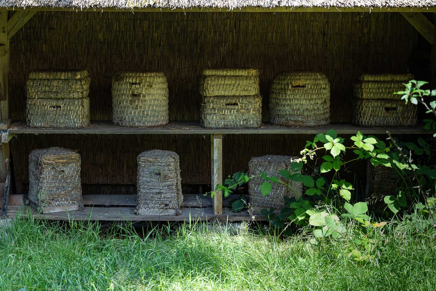 Bienenstöcke