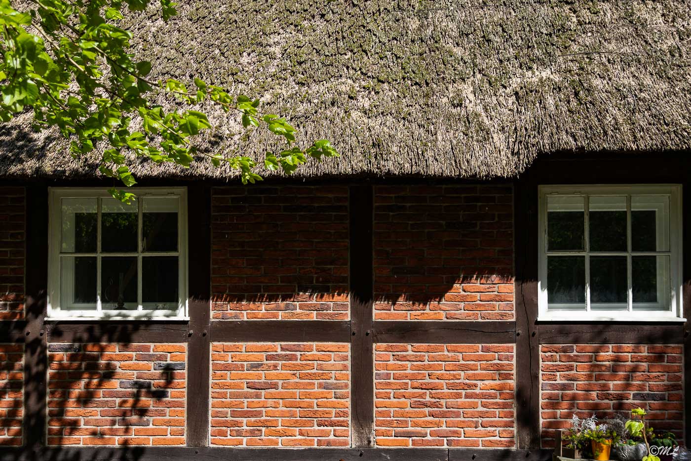 Reetdachhaus