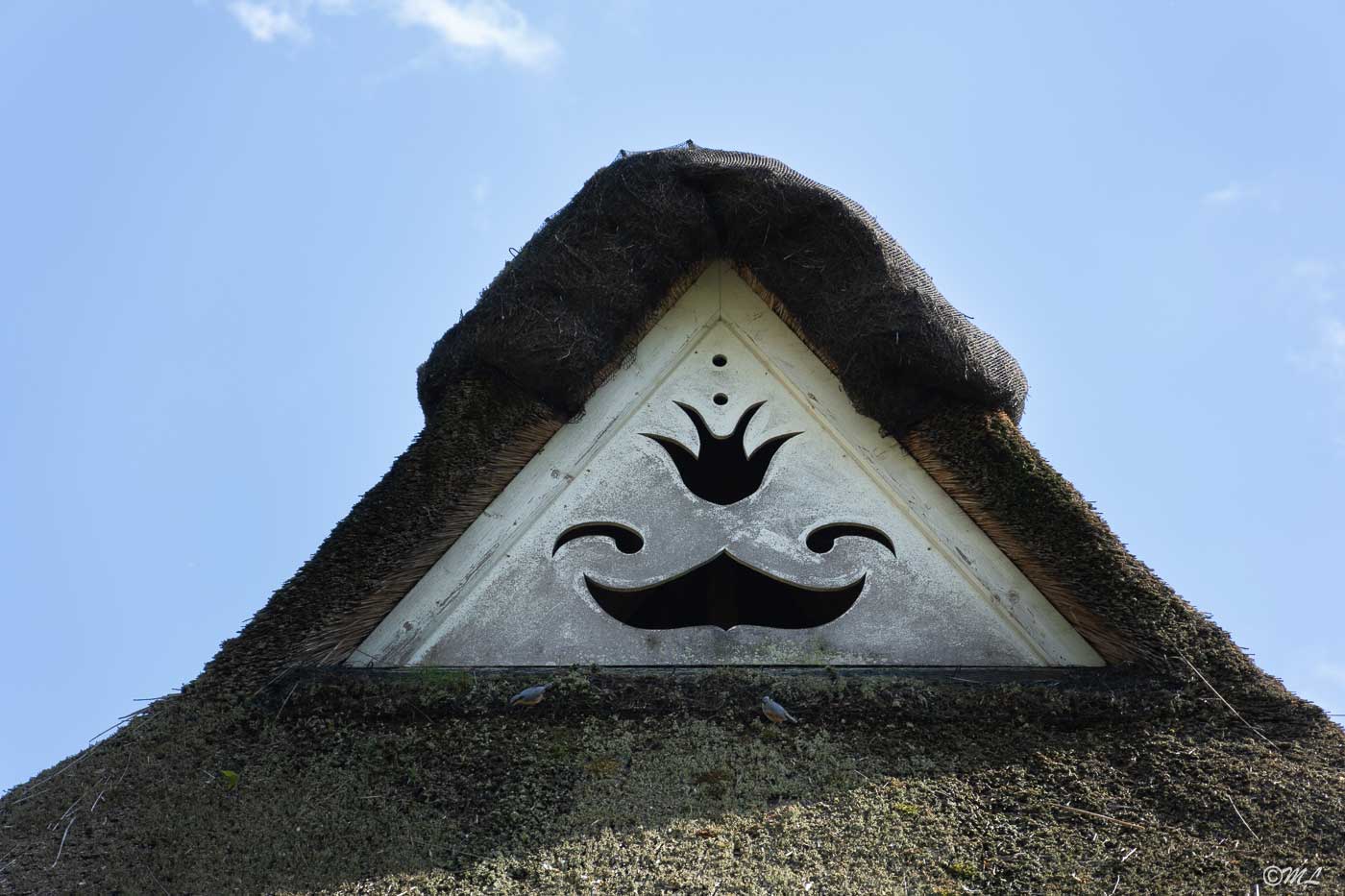 Detailaufnahme vom Dach des Marschenhauses