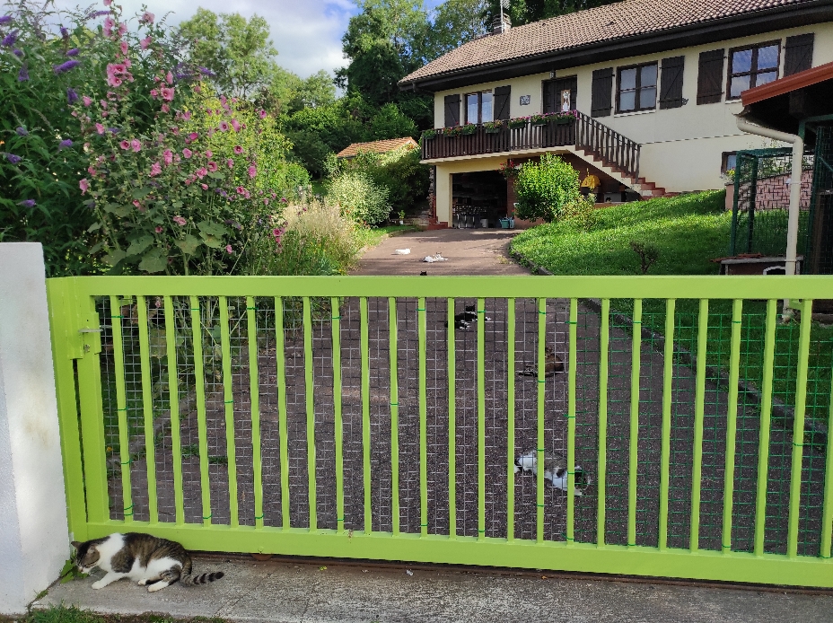 ecole du chat neuvecelle haute savoie refuge jardin maison